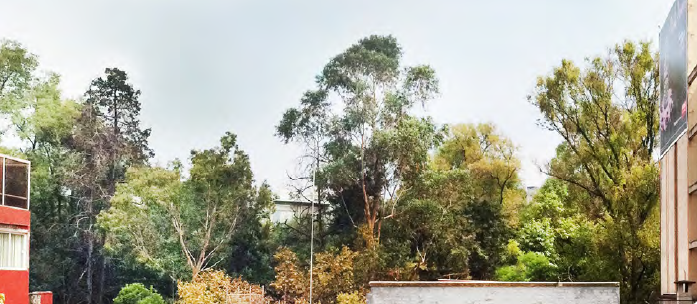 Parque españa