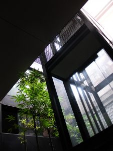 10-interior-225x300