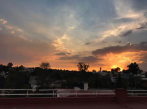 VISTA-2-300x223