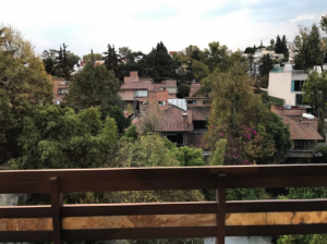 VISTA-NIVEL-1-3-300x224
