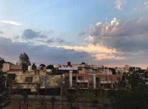 VISTA-ROOF-GARDEN-2-300x222