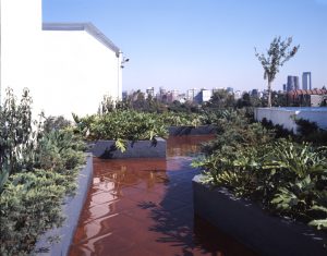 roofgarden-300x235